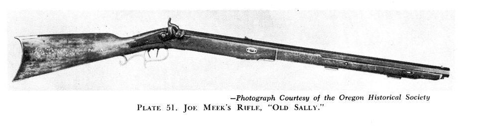 Traditions kentucky rifle